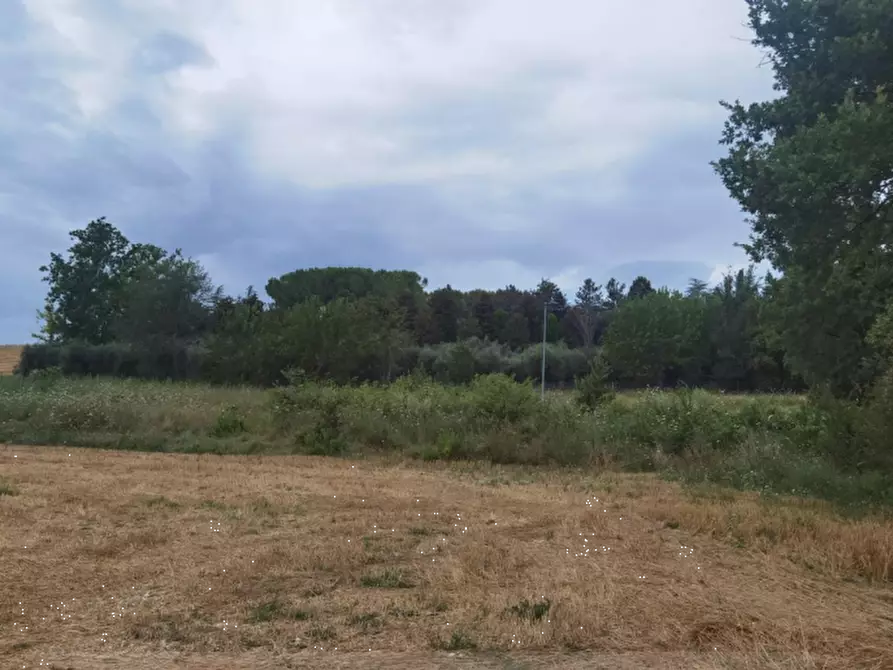 terreno edificabile in vendita a Pollenza