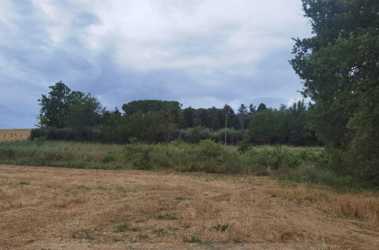 terreno edificabile in vendita a Pollenza