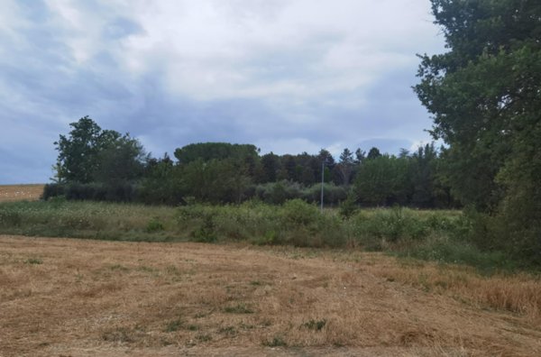 terreno edificabile in vendita a Pollenza