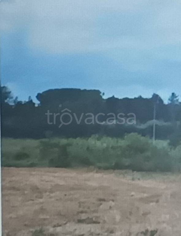 casa indipendente in vendita a Pollenza