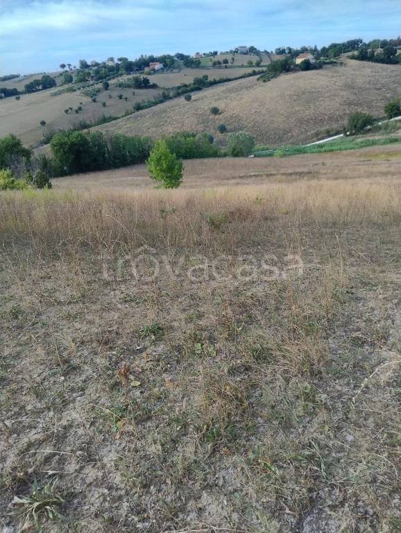 terreno agricolo in vendita a Pollenza