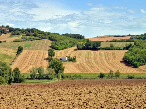 terreno agricolo in vendita a Pollenza