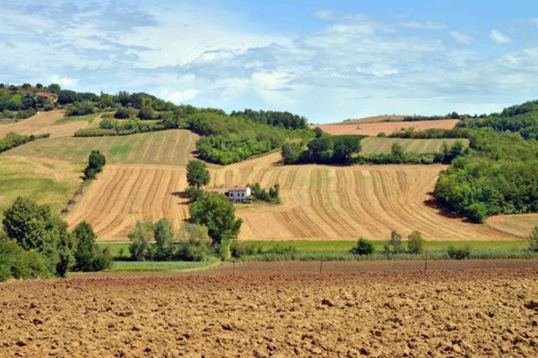 terreno agricolo in vendita a Pollenza