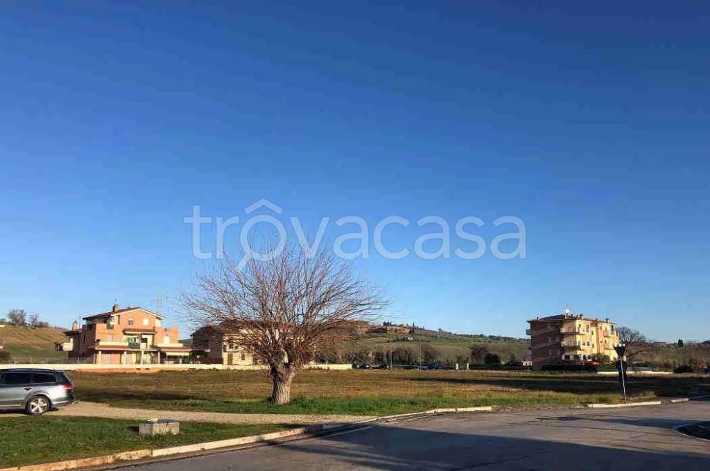 terreno agricolo in vendita a Pollenza