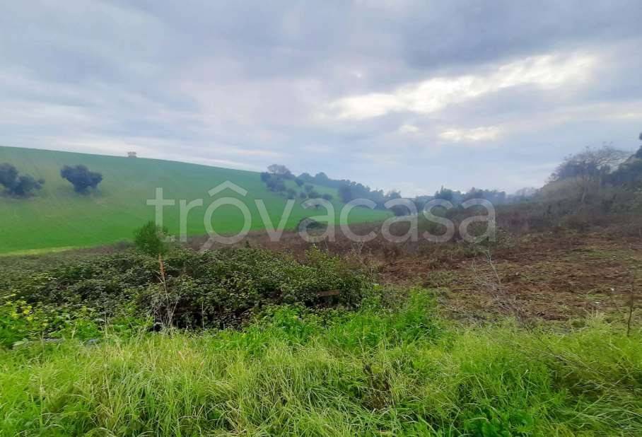 appartamento in vendita a Porto Recanati