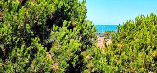 appartamento in vendita a Porto Recanati