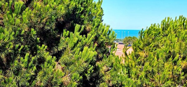 appartamento in vendita a Porto Recanati