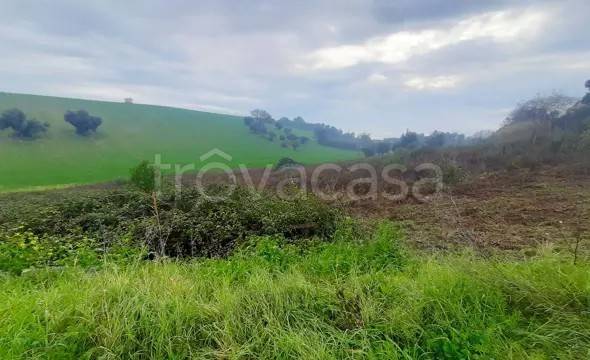 casa indipendente in vendita a Porto Recanati