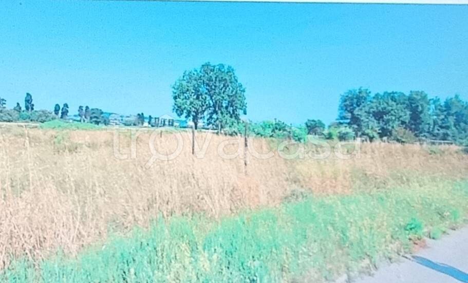 terreno agricolo in vendita a Porto Recanati