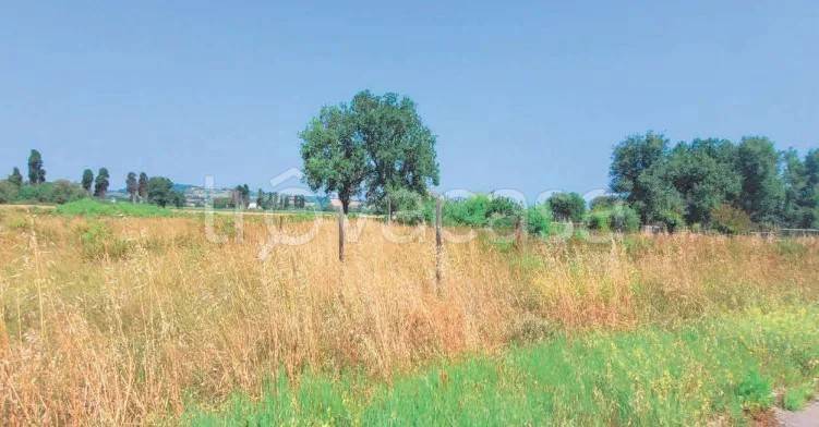terreno agricolo in vendita a Porto Recanati