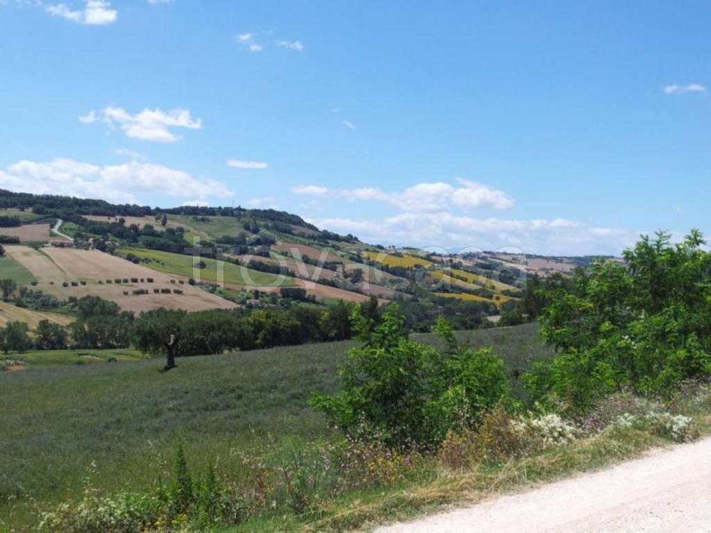 terreno agricolo in vendita a Potenza Picena in zona Montecanepino
