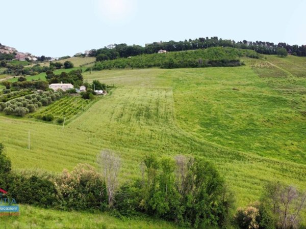 terreno agricolo in vendita a Potenza Picena