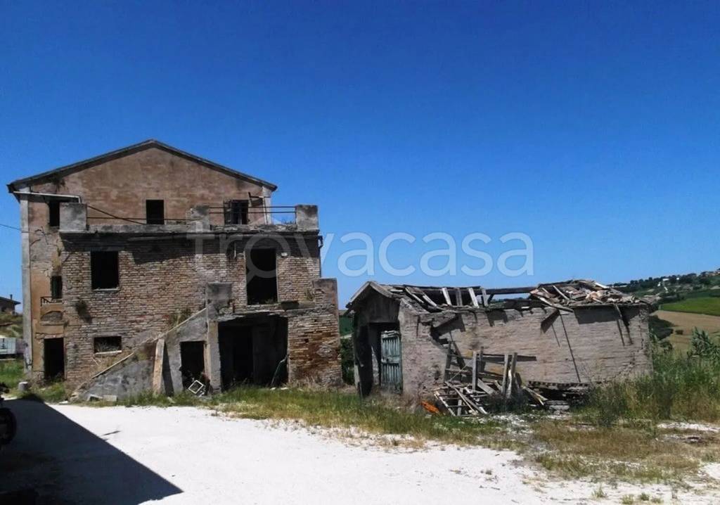 terreno agricolo in vendita a Potenza Picena