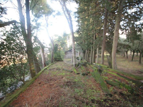 terreno agricolo in vendita a Potenza Picena