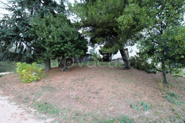 terreno agricolo in vendita a Potenza Picena