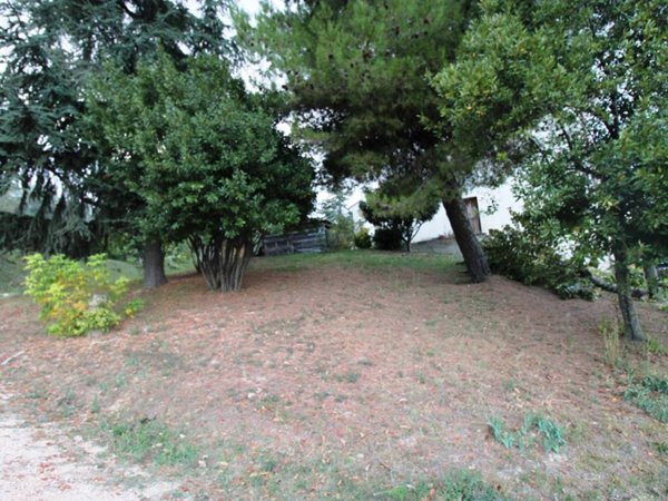 terreno agricolo in vendita a Potenza Picena