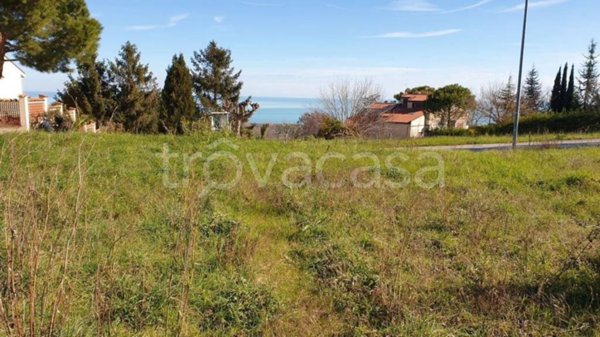 terreno agricolo in vendita a Potenza Picena