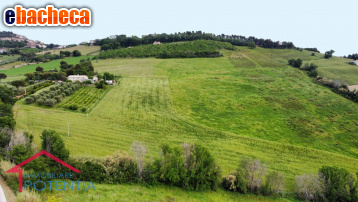terreno agricolo in vendita a Potenza Picena