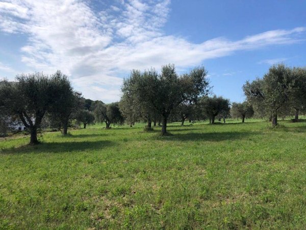 casa indipendente in vendita a Potenza Picena