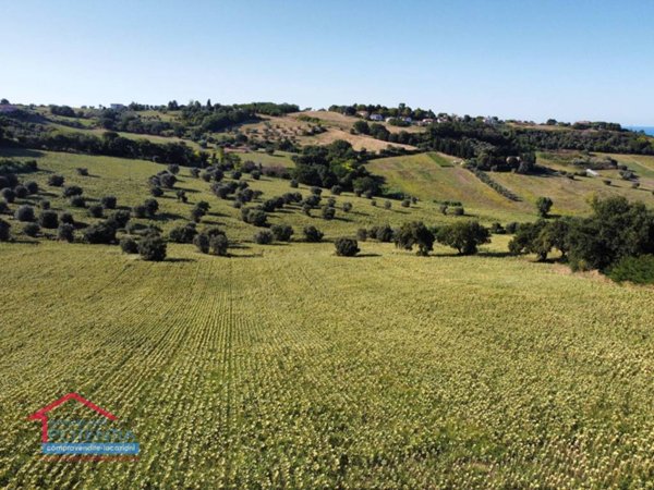 terreno agricolo in vendita a Potenza Picena