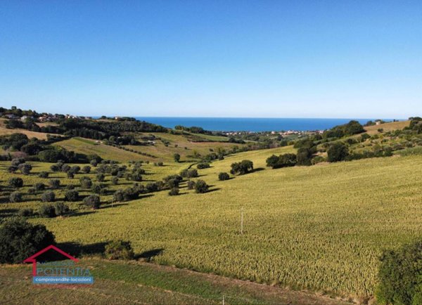azienda agricola in vendita a Potenza Picena
