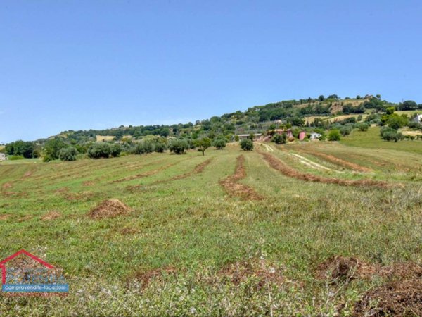 terreno agricolo in vendita a Potenza Picena