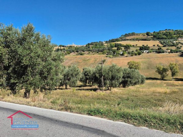 terreno agricolo in vendita a Potenza Picena