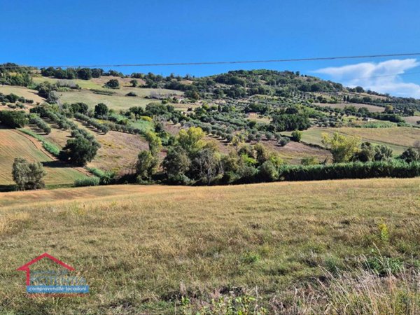 terreno agricolo in vendita a Potenza Picena
