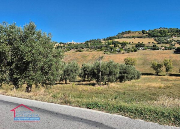terreno agricolo in vendita a Potenza Picena