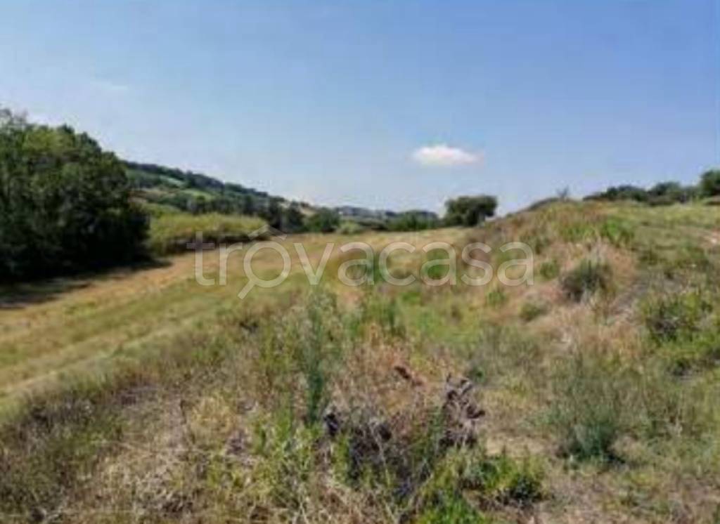 terreno agricolo in vendita a Potenza Picena