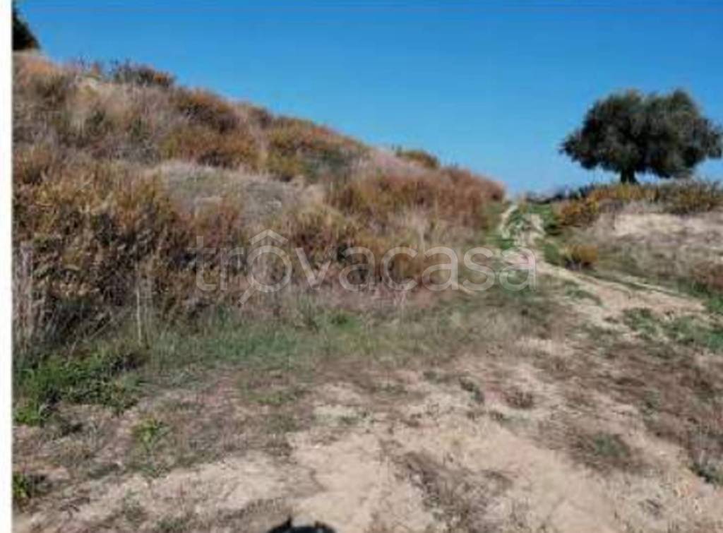 terreno agricolo in vendita a Potenza Picena