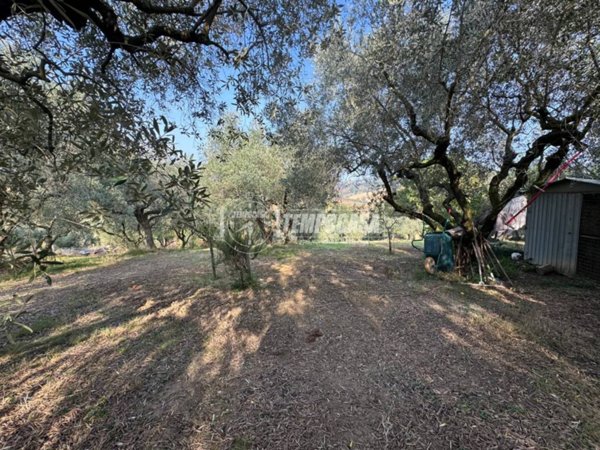 terreno agricolo in vendita a Potenza Picena