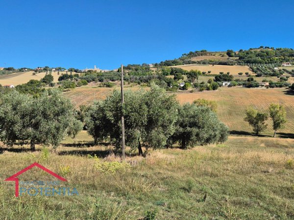 terreno agricolo in vendita a Potenza Picena