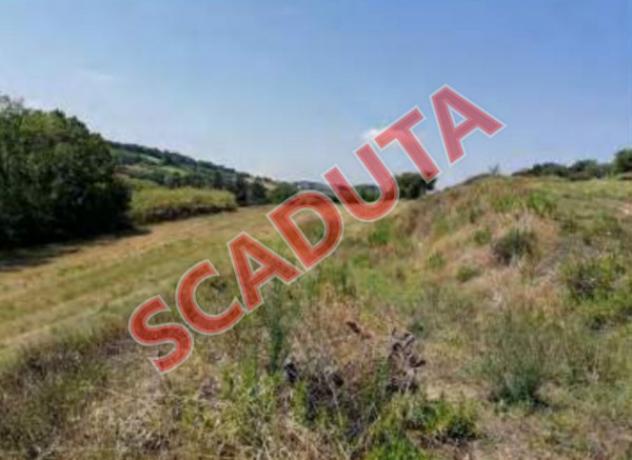 terreno agricolo in vendita a Potenza Picena