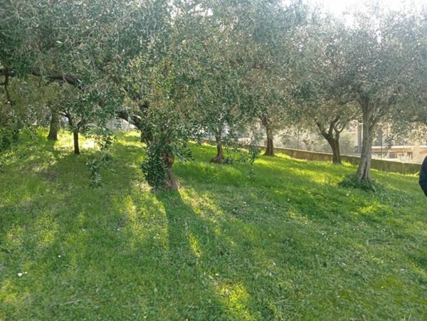 casa indipendente in vendita a Potenza Picena