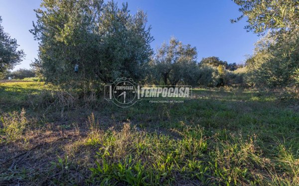 terreno agricolo in vendita a Potenza Picena