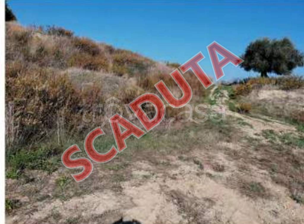terreno agricolo in vendita a Potenza Picena