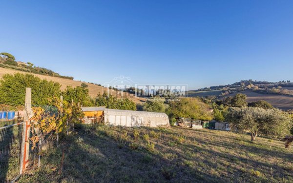 terreno agricolo in vendita a Potenza Picena