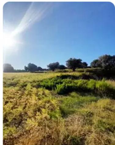 terreno edificabile in vendita a Potenza Picena