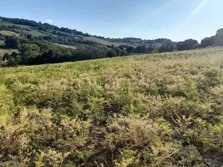 terreno agricolo in vendita a Potenza Picena in zona San Girio