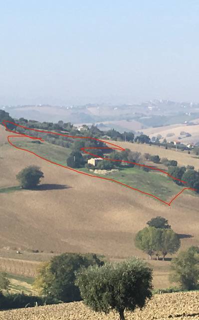 terreno edificabile in vendita a Recanati