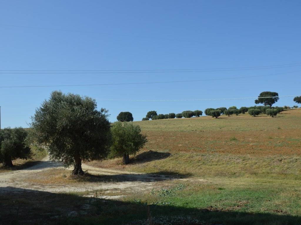 terreno agricolo in vendita a Recanati in zona Chiarino