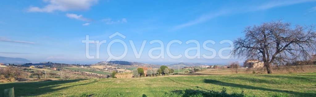 terreno agricolo in vendita a Recanati