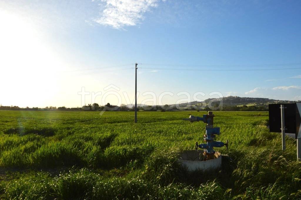 terreno agricolo in vendita a Recanati