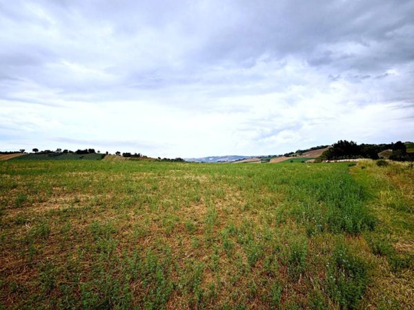 terreno agricolo in vendita a Recanati