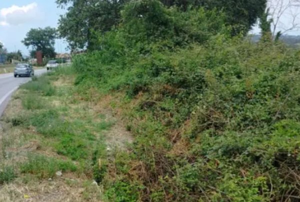 terreno agricolo in vendita a Recanati
