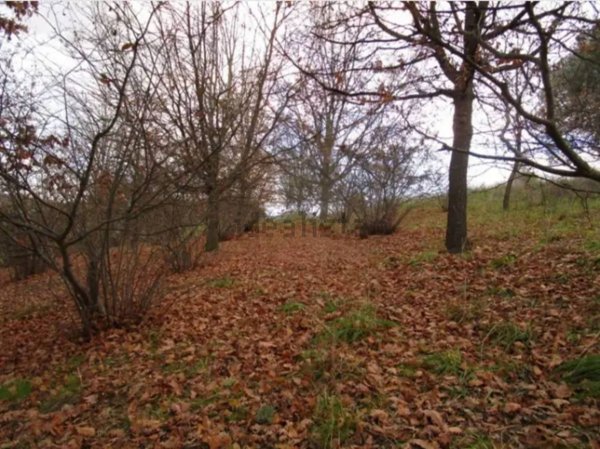 appartamento in vendita a Recanati