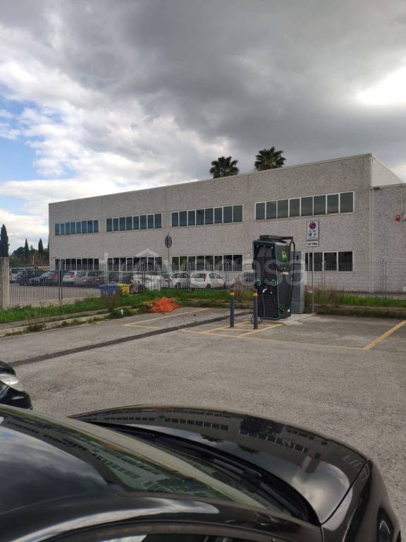 immagine annuncio 0 di 10