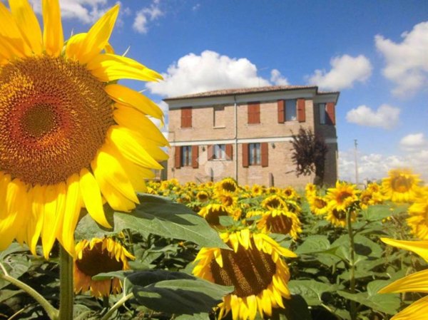 casa indipendente in vendita a Recanati