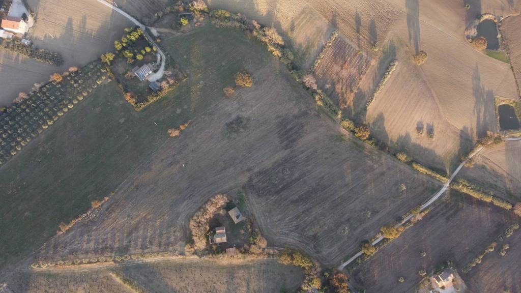 azienda agricola in vendita a Recanati